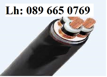 cáp ngầm hạ thế CXV/DTA 3 lõi 0,6/1kV - Đại lý dây cáp điện An Lộc - ảnh 3