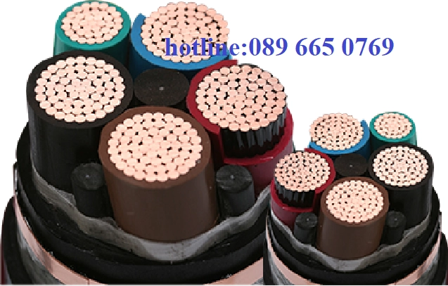 Đại lý cấp 1 cáp điện LS Vina - công ty An Lộc - ảnh 3