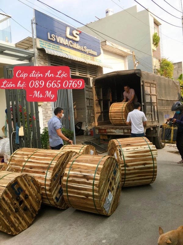 Nơi cung cấp cáp điện LS Vina giá tốt khu vực Hồ Chí Minh - ảnh 3