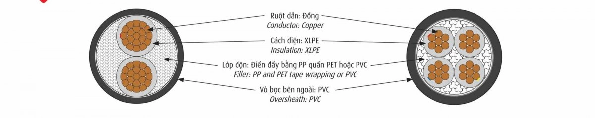 Dây cáp điện Cadivi Cáp ngầm DSTA 3x70 - Cáp điện Cadivi giá tốt nhất - ảnh 2