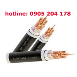 Cáp điện CVV/CXV LS-Vina Cu/PVC (0,6/1KV) nhiều lõi  