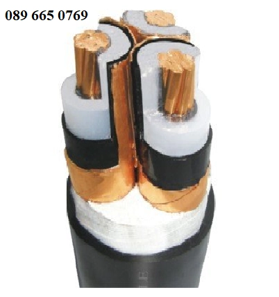 Đại lý cáp LS Vina - Nơi phân phôi cáp LS Vina giá rẻ - ảnh 4