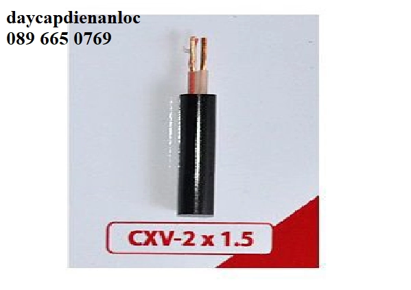 Cáp Cu/XLPE/PVC Caidivi - Đại lý cung cấp cáp Cadivi giá rẻ  - ảnh 4
