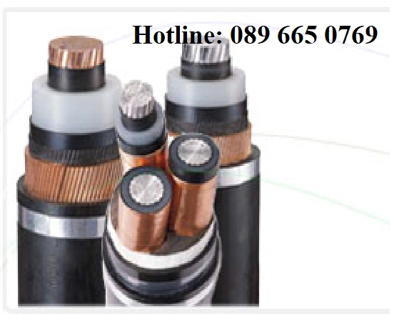 0,6/1kV Cu/XLPE/PVC SQMM - Đại lý cáp hạ thế LS Vina - ảnh 2