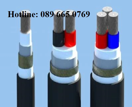 Cáp hạ thế 2 lõi CXV 0,6/1kV LS Vina - Đại lý cáp LS Vina An Lộc - ảnh 2