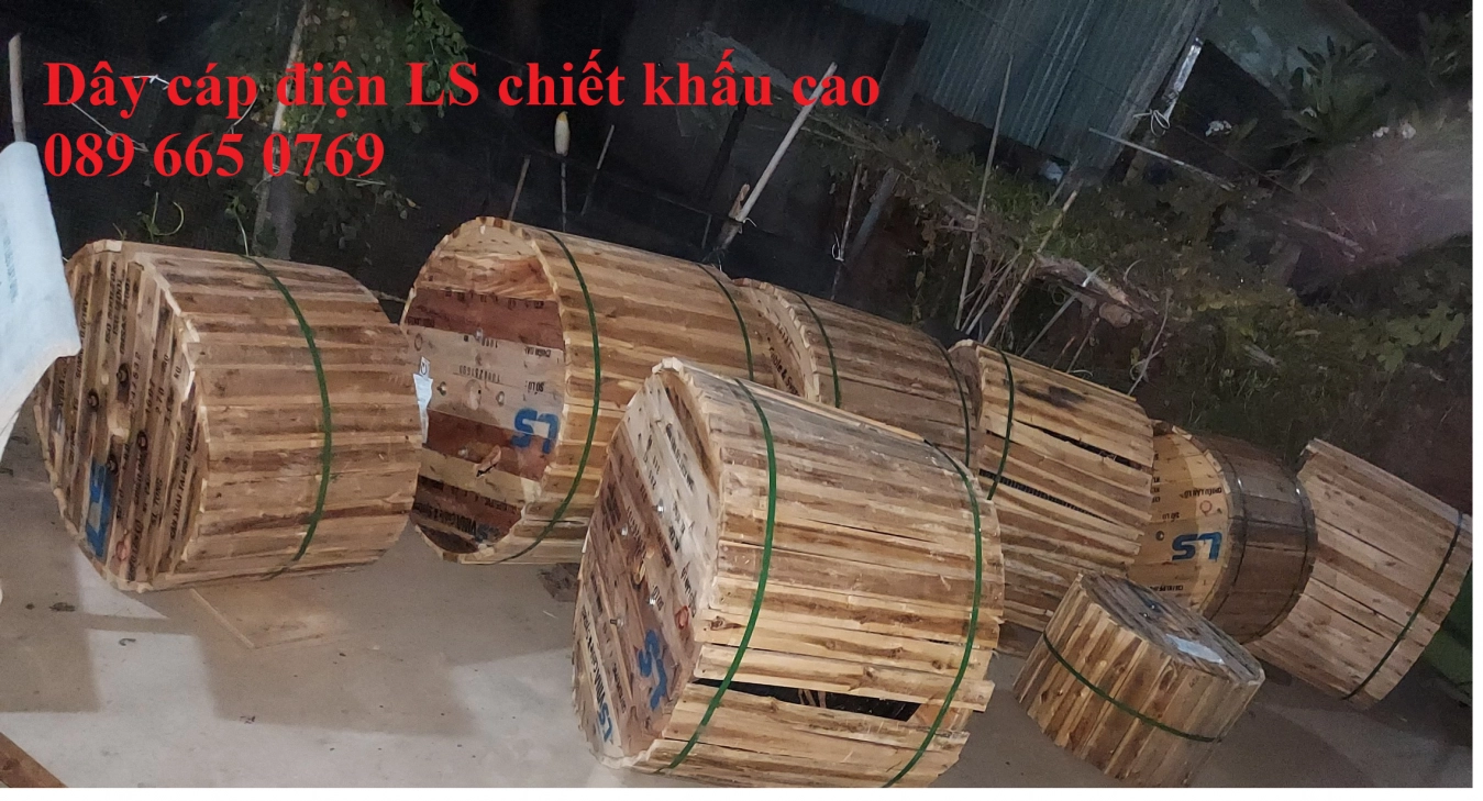 Cáp trung thế LS Vina - Đại lý cáp trung thế LS Vina tại thành phố Hồ Chí Minh - ảnh 2