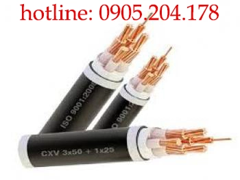 Địa chỉ phân phối cáp điện LS Vina uy tín nhất hiện nay - ảnh 2