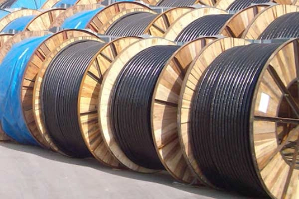 Cáp hạ thế Cu/XLPE/PVC 0,6/1kV - Đại lý dây cáp điện Cadivi khu vực thành phố Hồ Chí Minh - ảnh 3