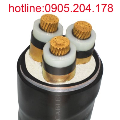 CXV LS-Vina Giáp Đồng 24KV- Đại lý dây cáp điện Ls vina An Lộc - ảnh 3