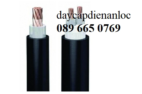 Cáp điện Taihan hạ thế - Đại lý cáp Taihan - ảnh 3