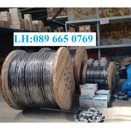 0,6/1kV Cu/PVC/PVC 2x25 mm2 - Đại lý cáp điện Cadivi