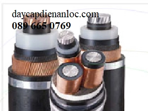Cáp 3 pha Cu/XLPE/PVC 0,6/1kV LS Vina - Đại lý cáp LS Vina An Lộc - ảnh 2