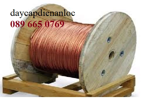 Cáp đồng trân 70 mm2 - Đại lý cáp Cadivi giá rẻ - ảnh 2