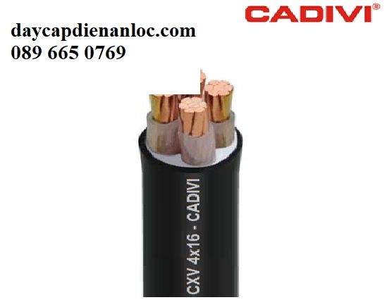 Cáp CXV 3 sợi cadivi 0,6/1kV - Nhà phấn phối dây cáp điện Cadivi - ảnh 3