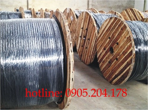 Dây cáp điện Cadivi Cáp ngầm DSTA 3x70 - Cáp điện Cadivi giá tốt nhất - ảnh 3