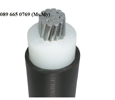 Cáp nhôm AXV 2 lõi dẫn điện giá rẻ thành phố Hồ Chí Minh  - ảnh 4