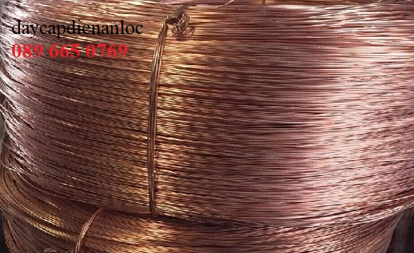 Cáp đồng trân 70 mm2 - Đại lý cáp Cadivi giá rẻ - ảnh 4