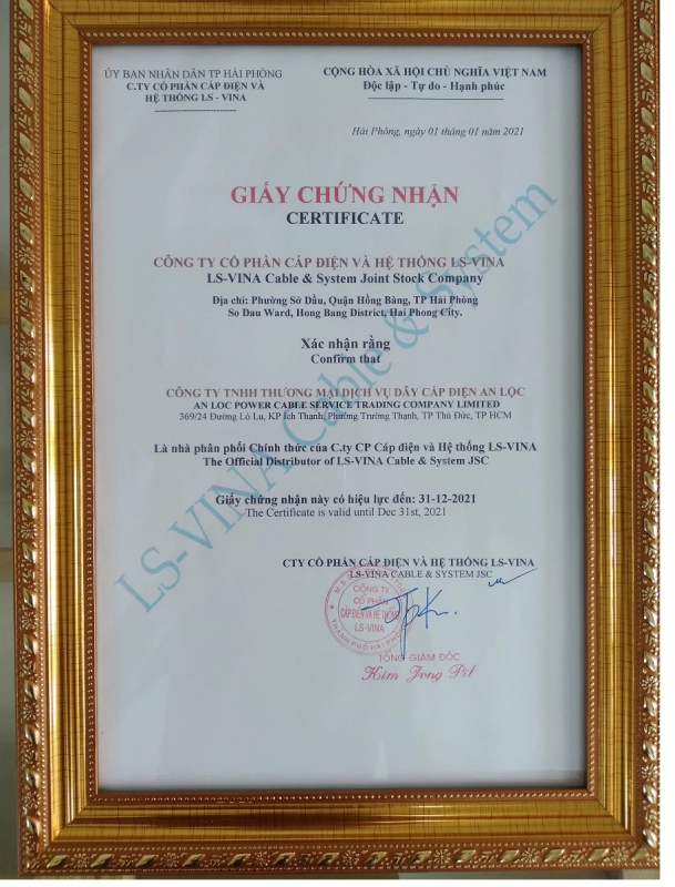 CÁP ĐIỆN HẠ THẾ LS VINA - ảnh 3