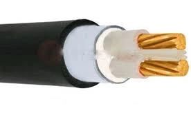 Đại lý dây cáp điện LS Vina tại TP.HCM - CÁP ĐỒNG 2 RUỘT CU/XLPE/PVC - ảnh 2