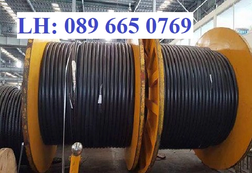 Cáp điện Thịnh Phát giá tốt nhất - ảnh 2