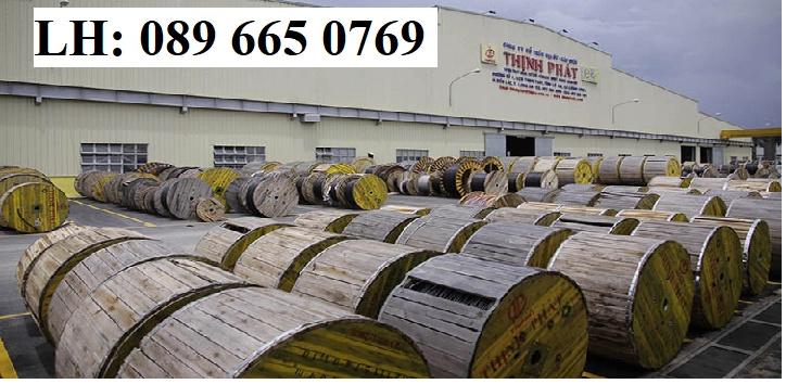 Cáp điện Thịnh Phát giá tốt nhất - ảnh 3