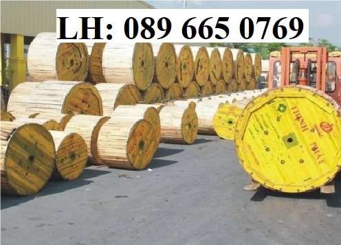 Đại lý phân phối dây cáp điện Thịnh Phát giá rẻ tại Tp HCM - Dây cáp điện An Lộc - ảnh 2