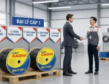 Phân Biệt Đại Lý Cấp 1 Và Cấp 2 Cáp Cadivi: 5 Lợi Ích Khi Mua Trực Tiếp Từ Cấp 1
