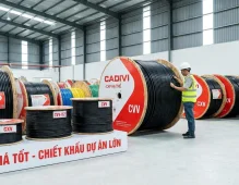 Cáp Hạ Thế Cadivi Giá Tốt: Đủ Loại CVV, CVV-DZ, CXV - Chiết Khấu Dự Án Lớn