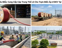 Dự Án Tiêu Biểu: Cung Cấp Cáp Trung Thế LS Cho Trạm Biến Áp 110KV Tại Đồng Nai