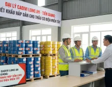 Đại Lý Cadivi Long An, Tiền Giang: Chiết Khấu Hấp Dẫn Cho Thầu Cơ Điện Miền Tây