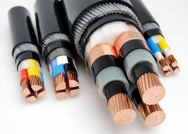CÁP HẠ THẾ ĐIỆN LỰC CVV - DÂY CÁP ĐIỆN CADIVI GIÁ TỐT NHẤT - ảnh 2